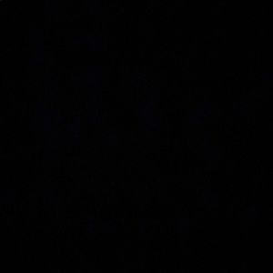 Meet your Posher, Riley